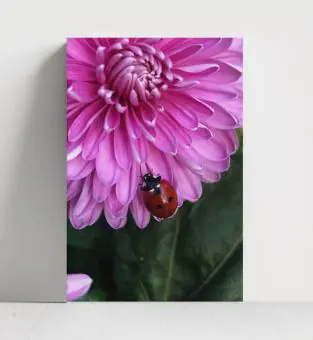 FLORES E FOLHAS - Código 190