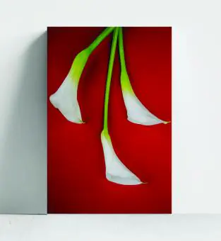 FLORES E FOLHAS - Código 191