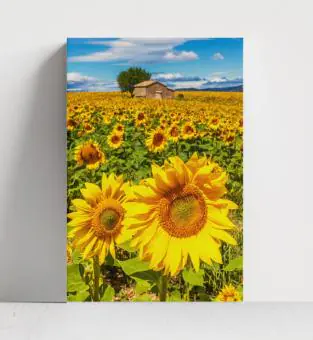 FLORES E FOLHAS - Código 192