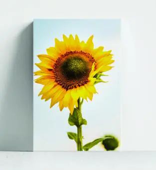 FLORES E FOLHAS - Código 195