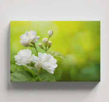 FLORES E FOLHAS - Código 200