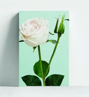 FLORES E FOLHAS - Código 203
